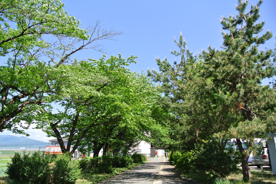 2013�N6��3��