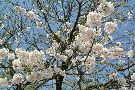 2013�N5��10���@������