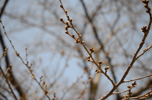 2014�N4��9��1