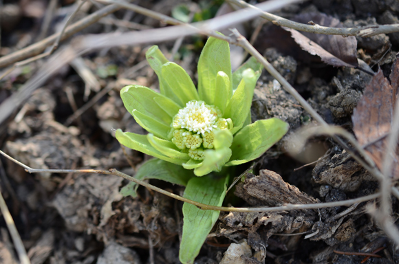 2014�N4��9��2