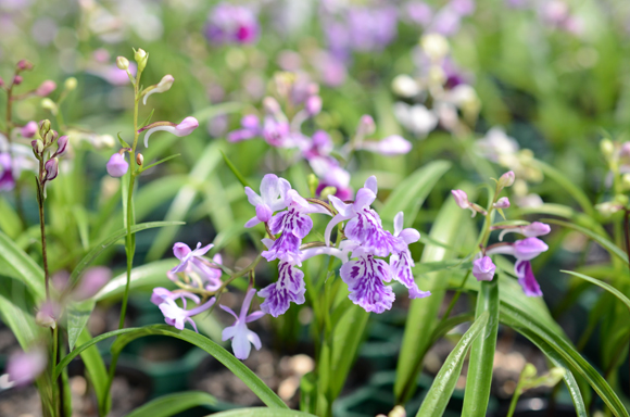 2014�N7��2��1