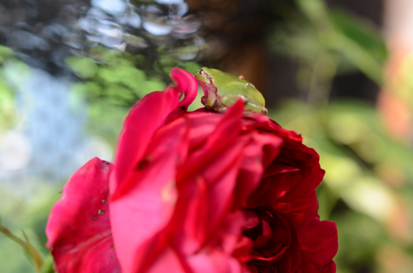 2014�N7��2��2