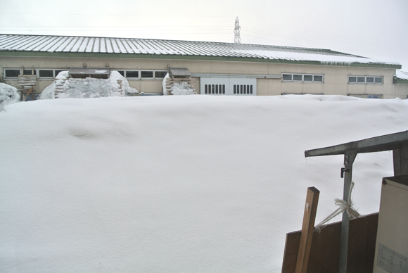 2014�N1��28��