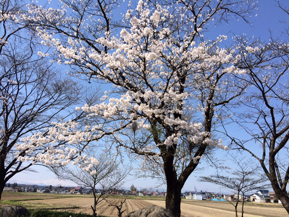 2015�N4��27��