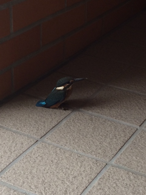 2016�N9��7��