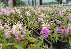 ���|�ȁ@���i2