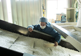 �H�i�g���[���T�C�N����